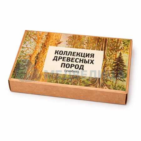 Коллекция «Древесные породы»